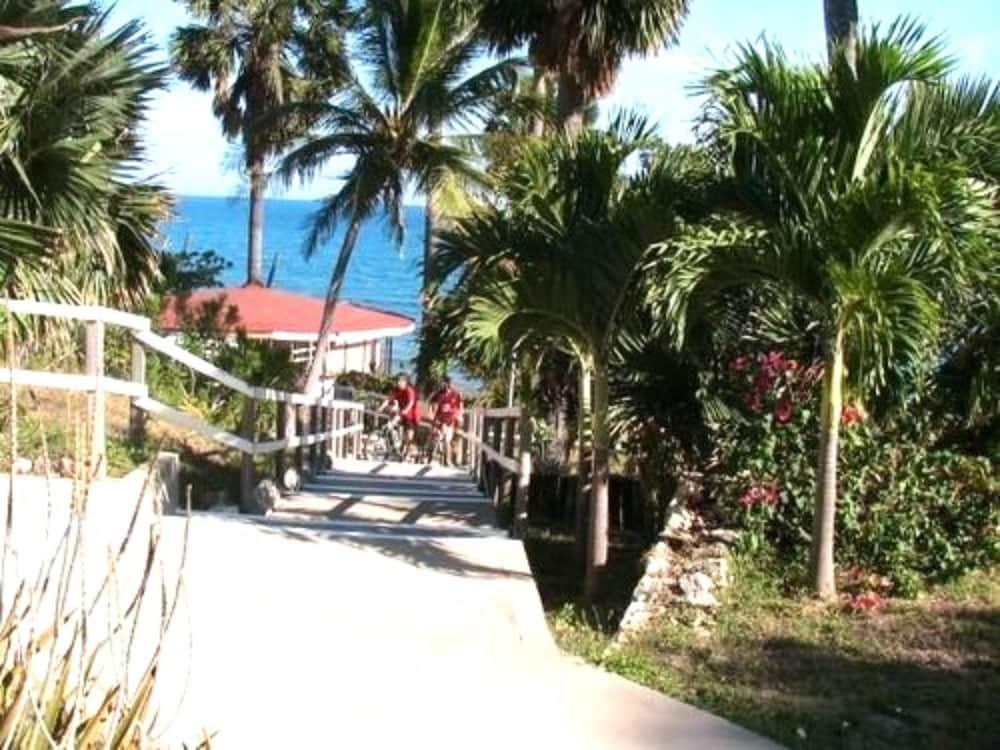 Treasure Beach Hotel Alam foto